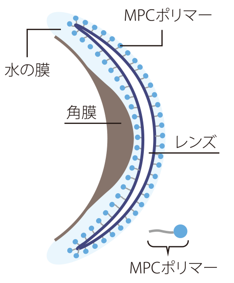 ヒアルロン酸の約2倍の保水力で、乾きにくいレンズ