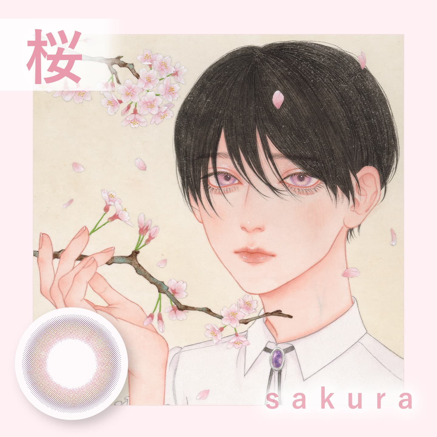 美少年画（ビショウネンガ） - 桜（sakura）
