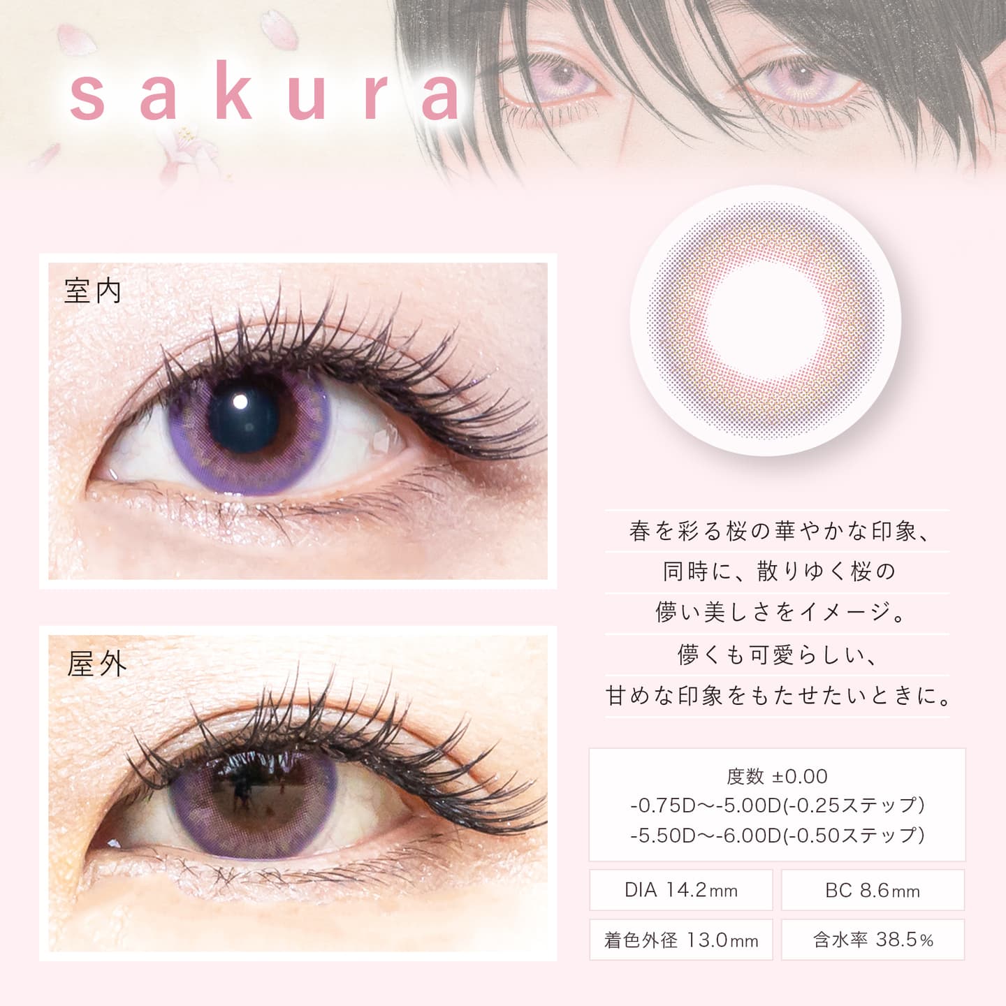 美少年画（ビショウネンガ） - 桜（sakura）の装着画像