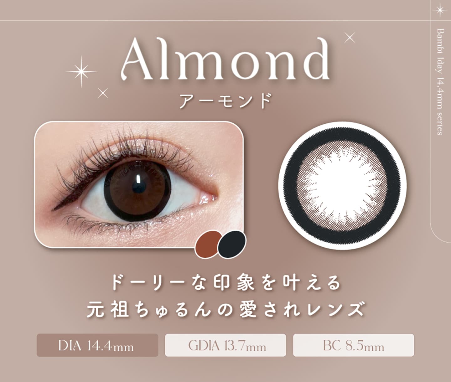 Bambi1day （バンビワンデー） - アーモンド[Almond]