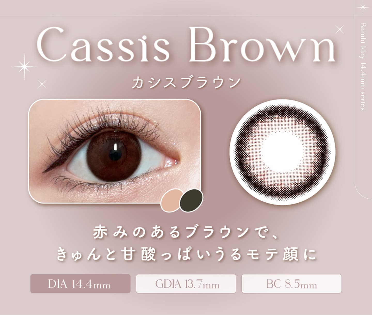 Bambi1day （バンビワンデー） - カシスブラウン[Cassis Brown]
