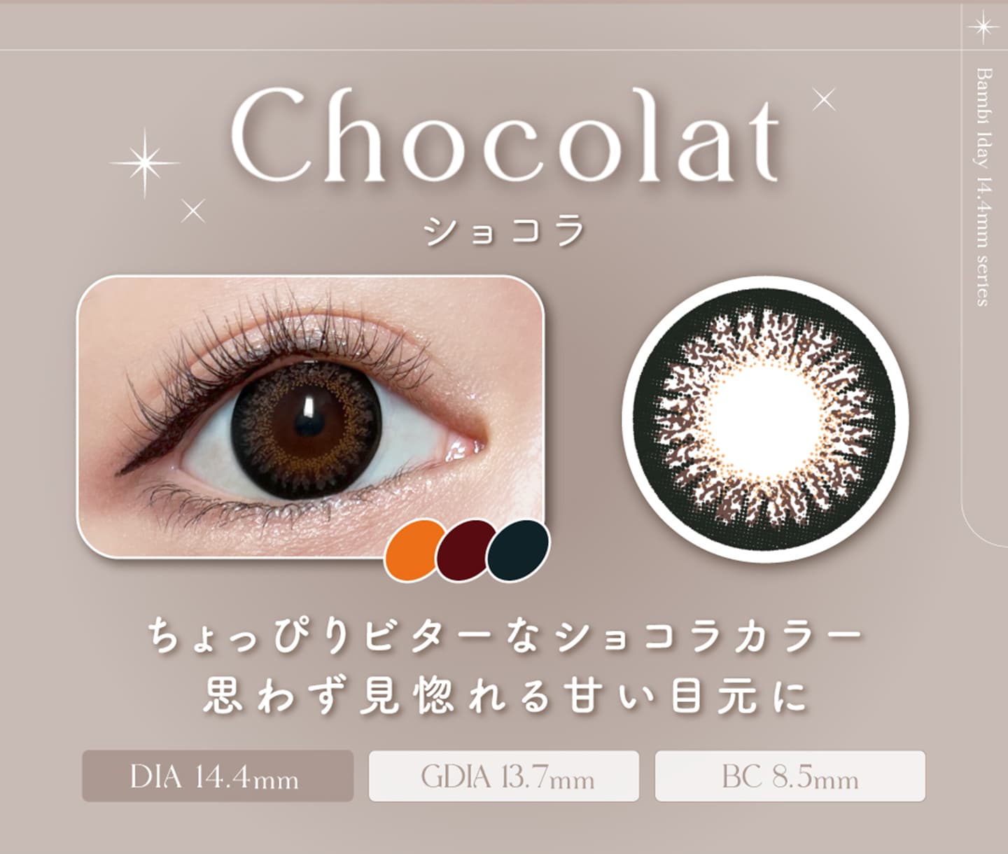 Bambi1day （バンビワンデー） - ショコラ[Chocolate]