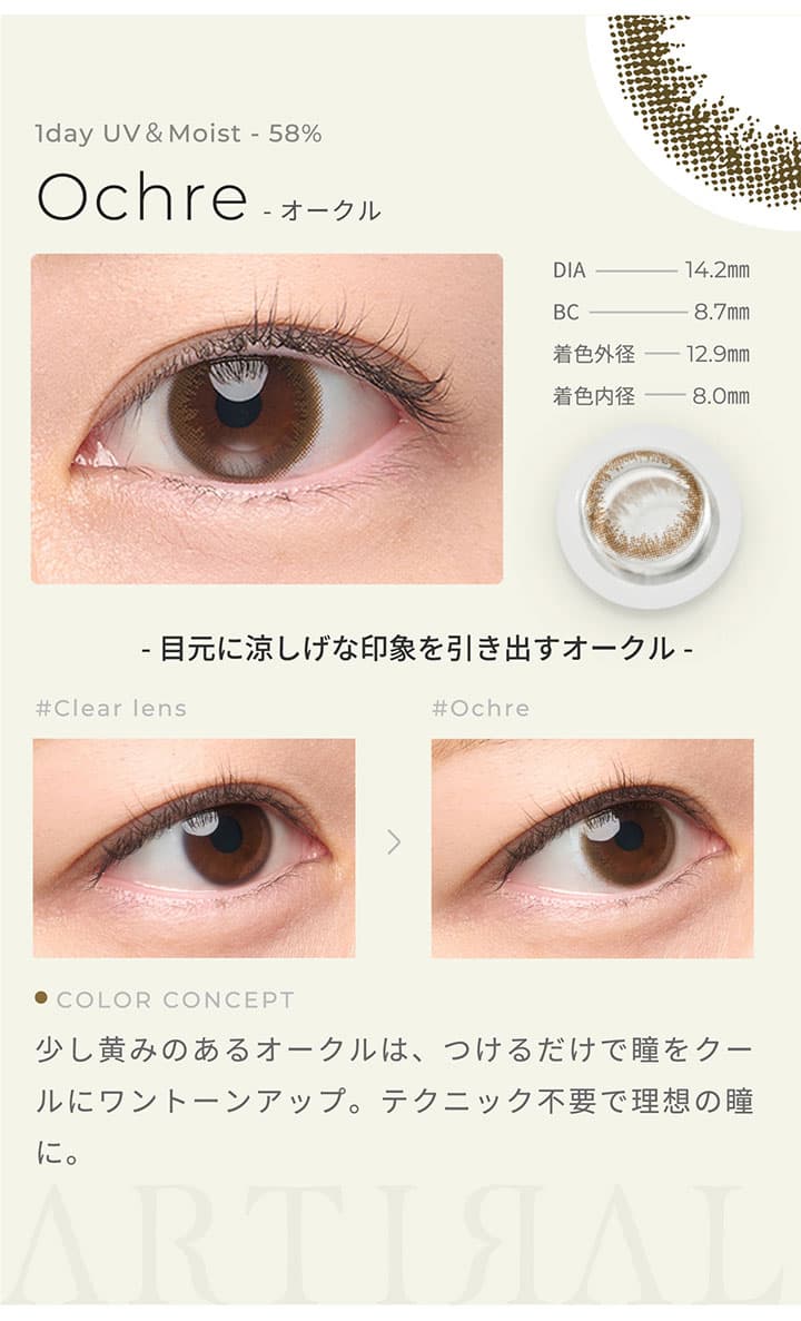 アーティラルワンデーUVM（高含水タイプ）オークル