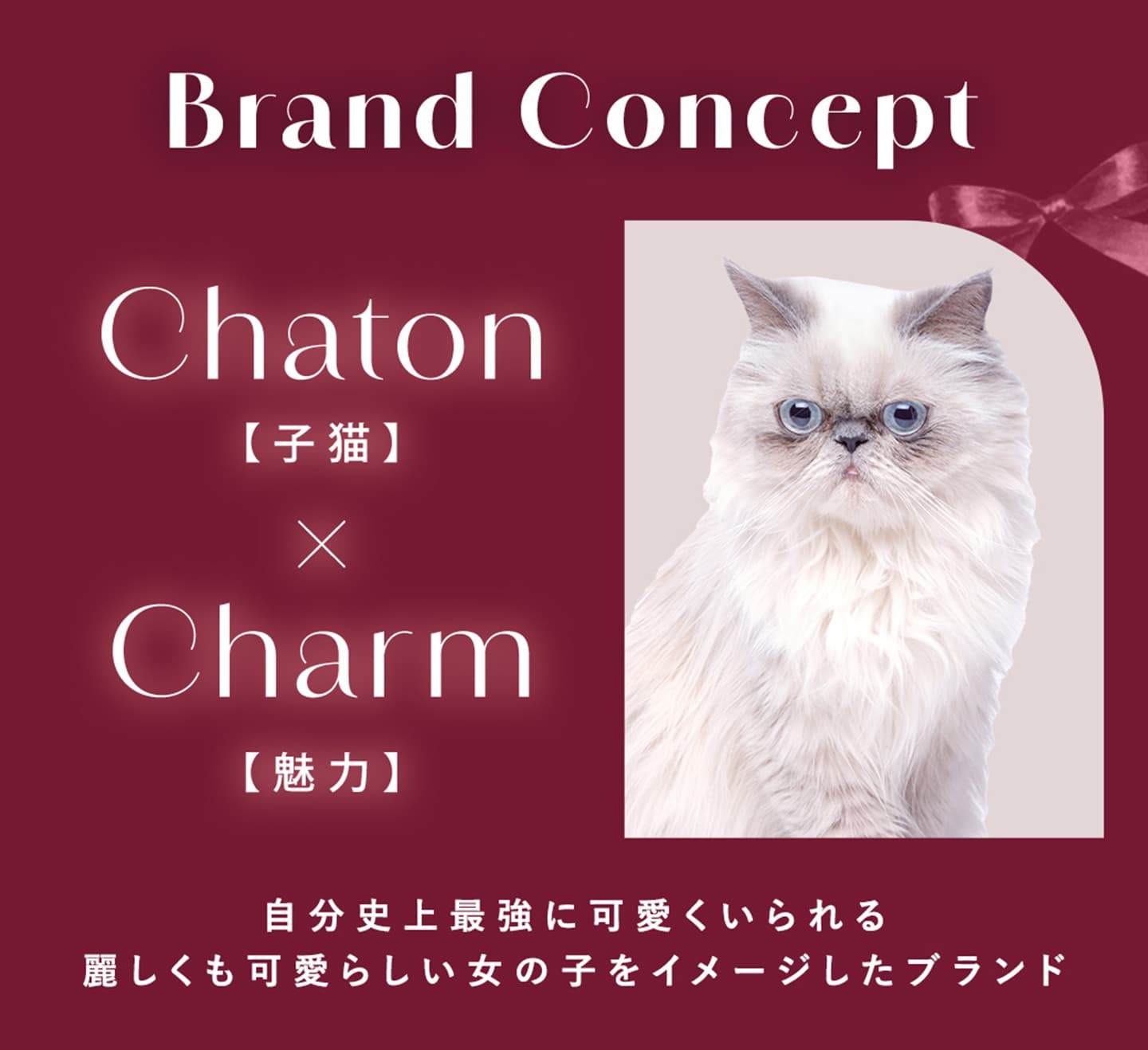 シャルトンワンデーモイスティン (Charton 1DAY moistin)コンセプト