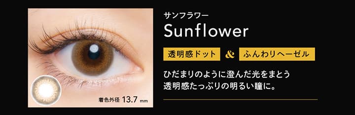 CRUUM (クルーム） - サンフラワー（Sunflower）
