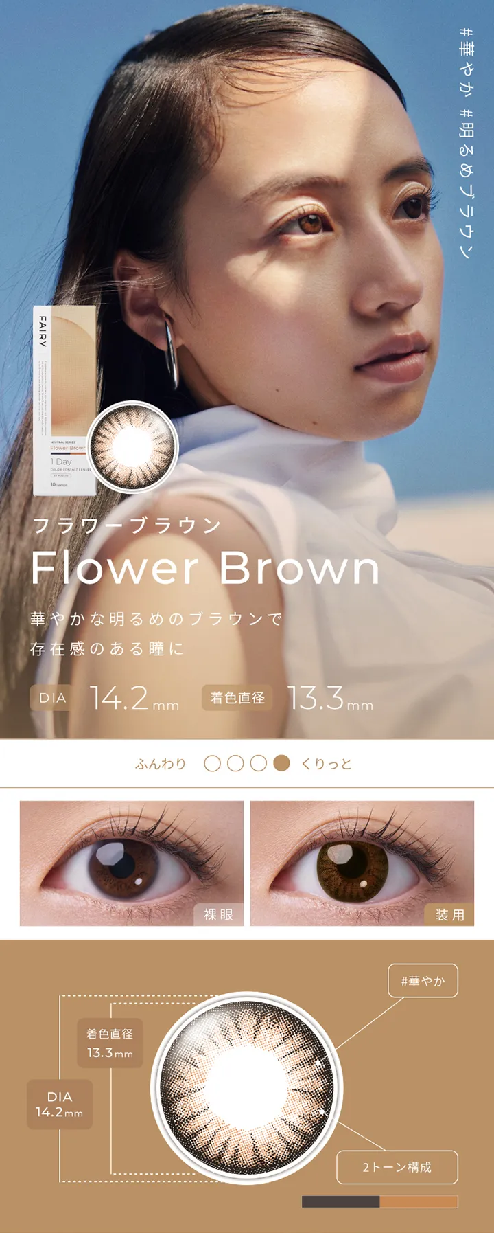 フェアリーワンデーニュートラルシリーズ - フラワーブラウン[Flower Brown]