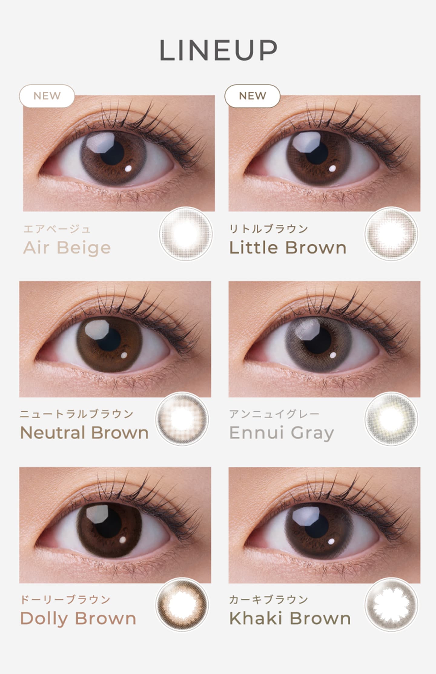 フェアリーワンデーニュートラルシリーズのレンズ装用画像