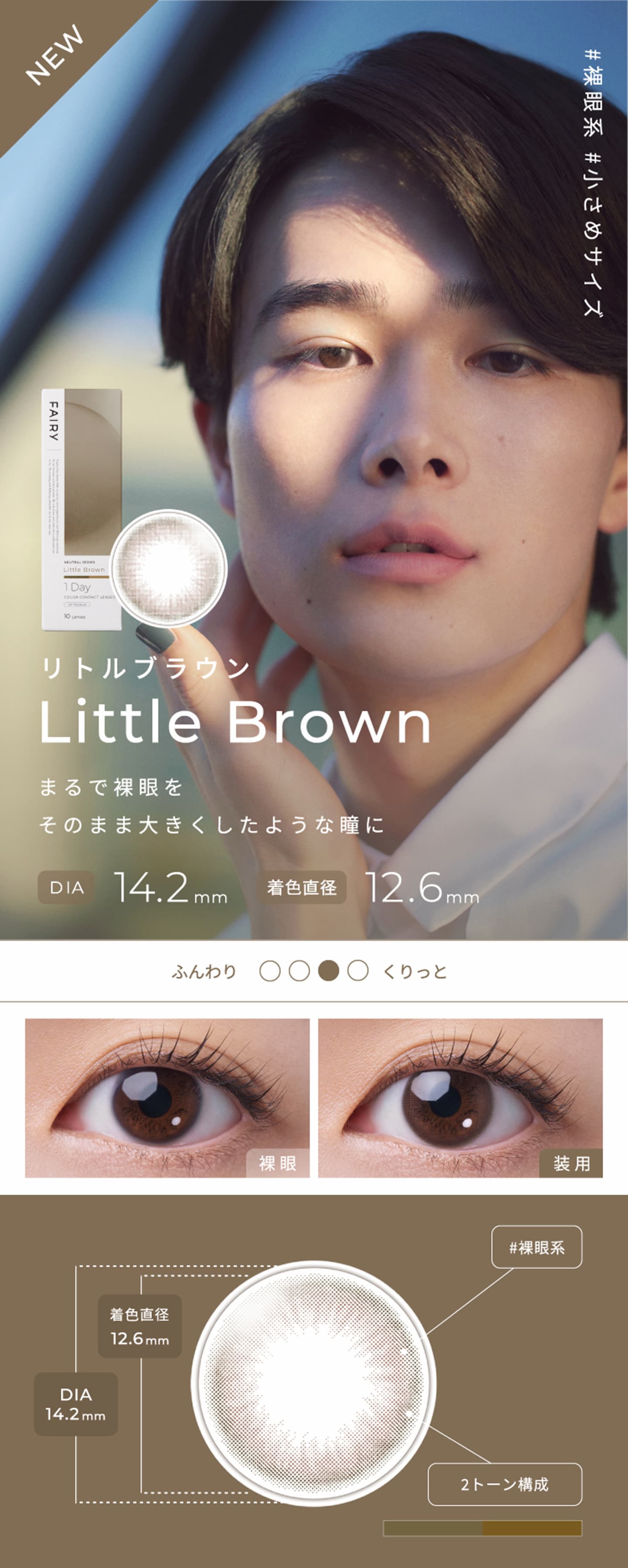 フェアリーワンデーニュートラルシリーズ - リトルブラウン[Little Brown]