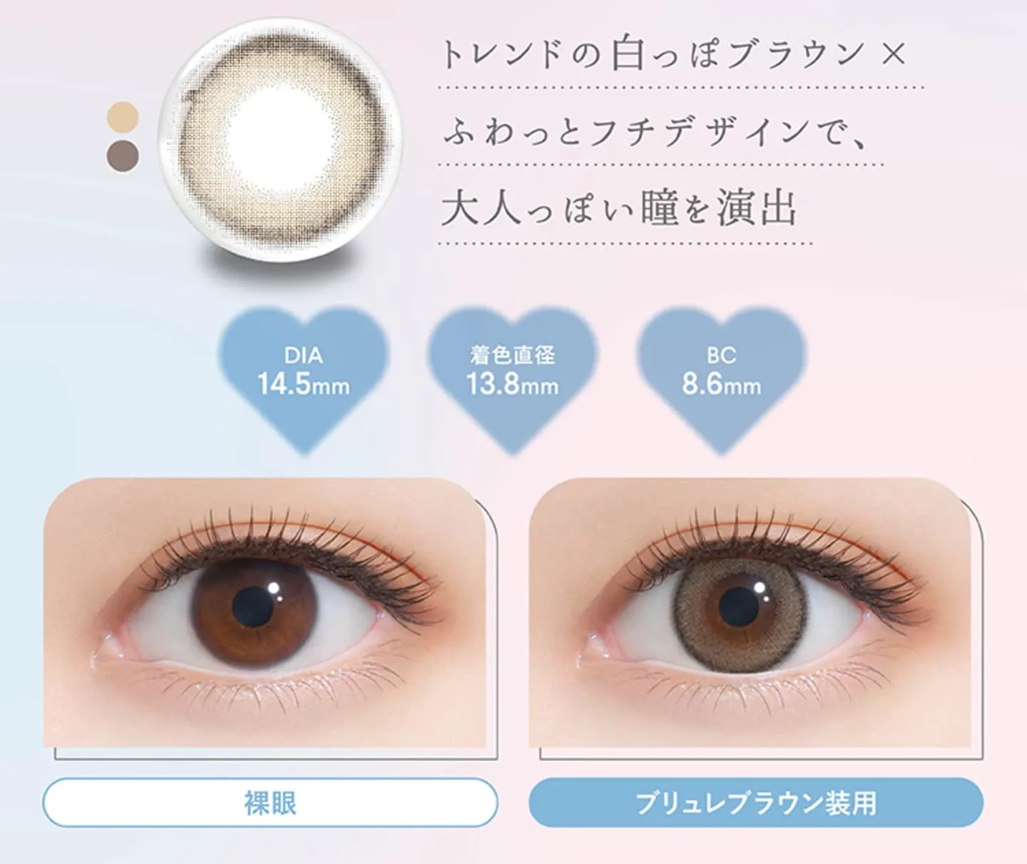 ファルーム (FALOOM)- ブリュレブラウン