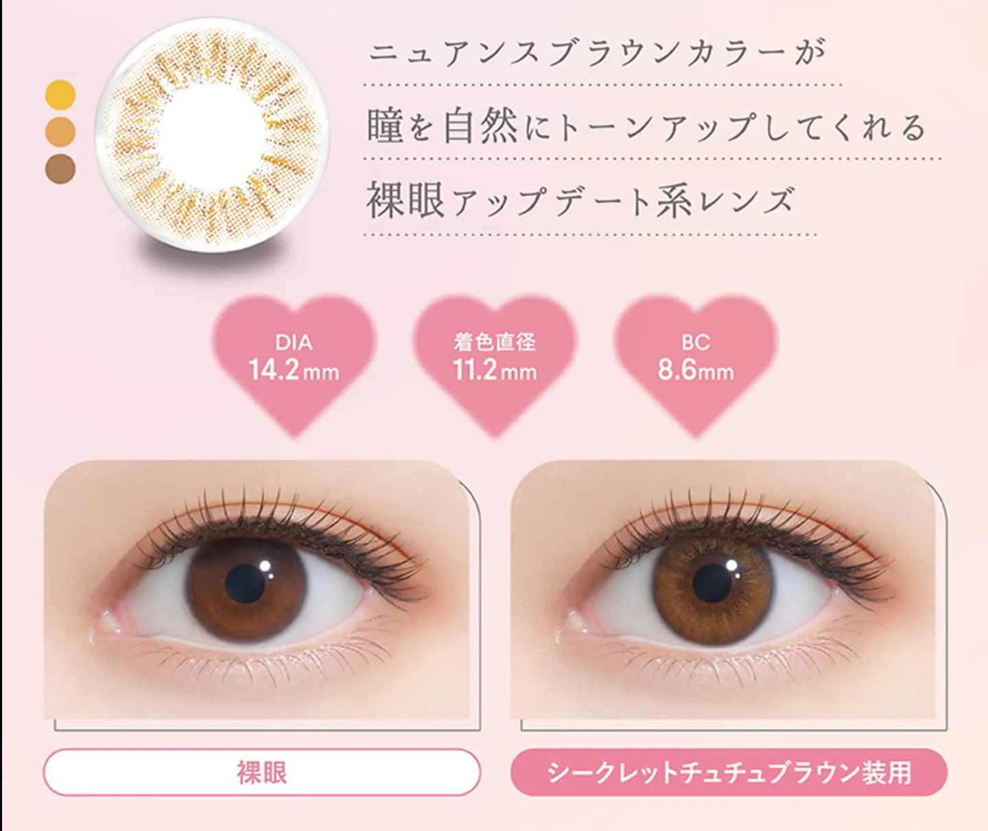 ファルーム (FALOOM)- シークレットチュチュブラウン