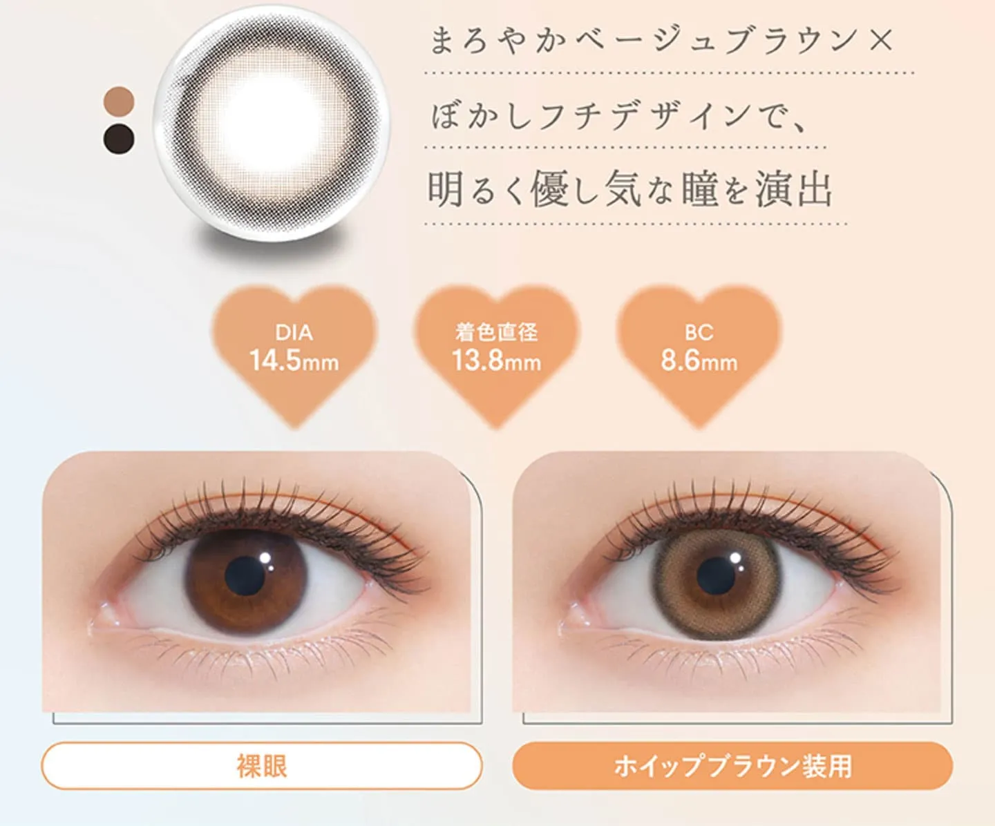 ファルーム (FALOOM)- ホイップブラウン 