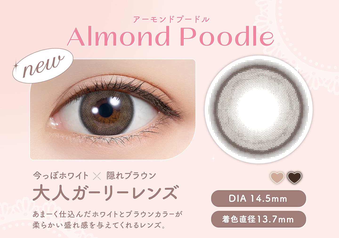 白石麻衣カラコンfeliamo(フェリアモ)アーモンドプードル (Almond Poodle)