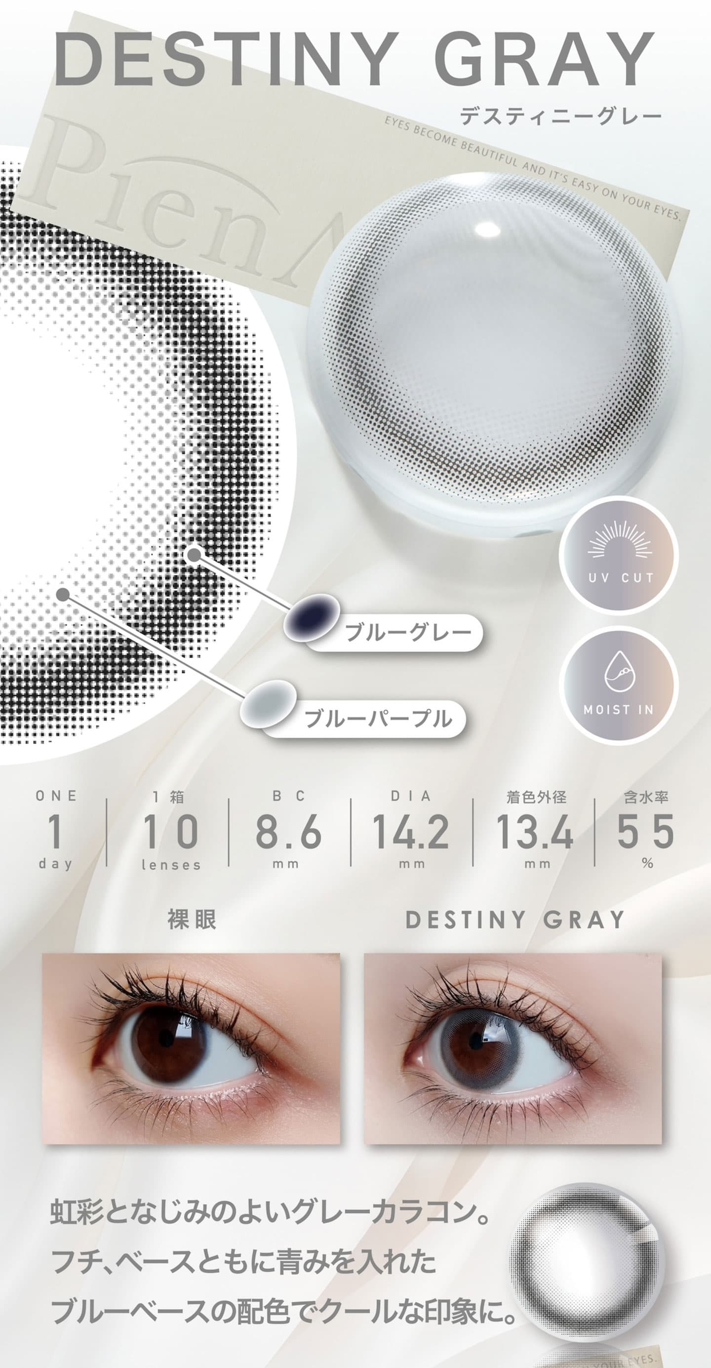 ピエナージュワンデー (PienAge 1day) - デスティニーグレー(DESTINY GRAY)