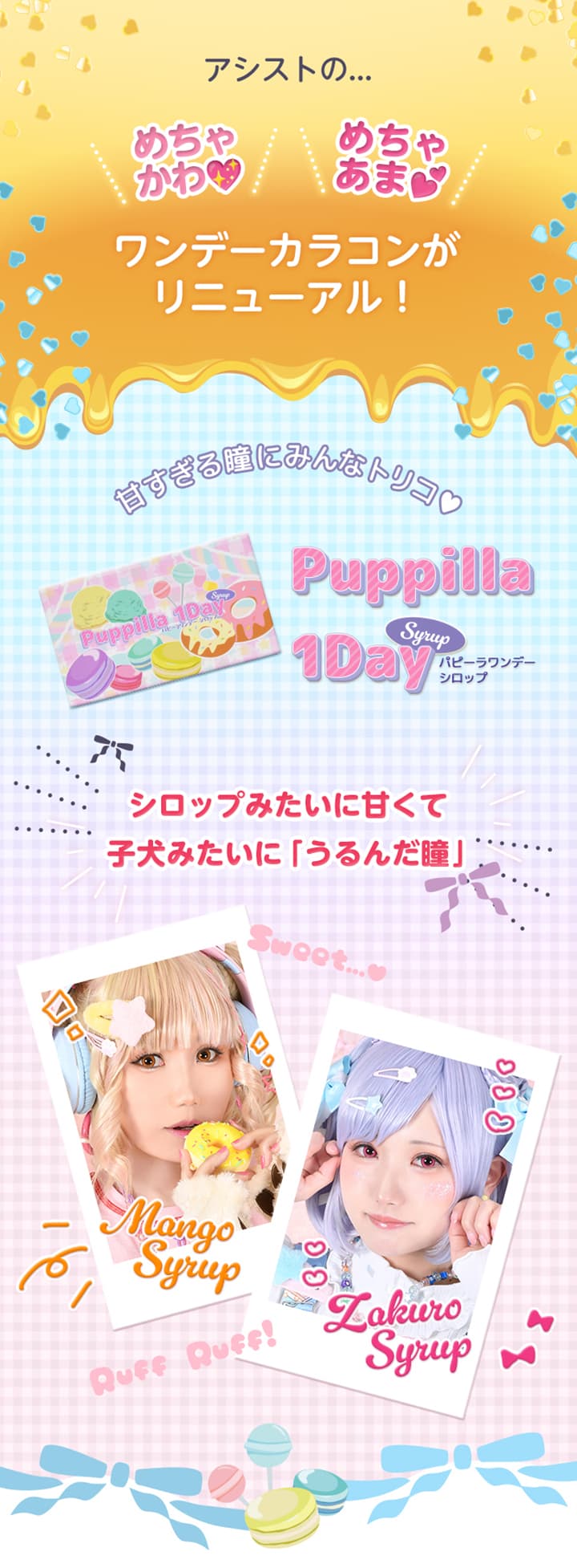 パピーラワンデーシロップ (Puppilla 1Day Syrup)