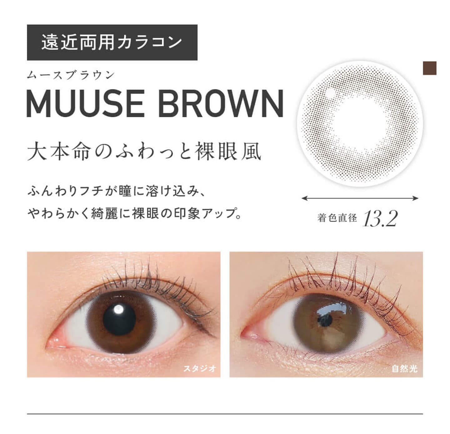 レヴィア (ReVIA) マルチフォーカルワンデー - ムースブラウン(MUUSE BROWN)