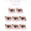 フランミー（FLANMY）ワンデー 10枚入の装用画像1