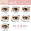 フランミー（FLANMY）ワンデー 30枚入の装用画像2