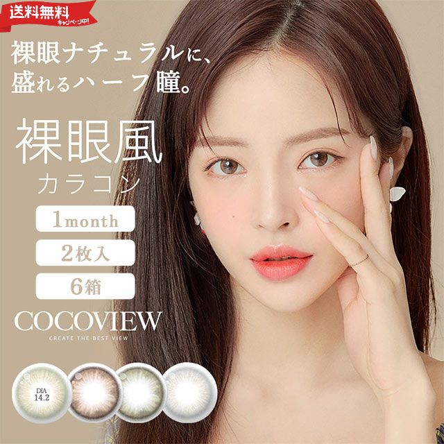 【送料無料】COCOVIEW(ココビュー) 2枚入 6箱セット