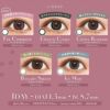 シャルトン (Charton 1DAY moistin) 10枚入 装用画像