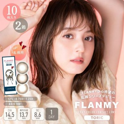 佐々木希 乱視用カラコン「フランミートーリック (FLANMY TORIC) 10枚入」 2箱セット